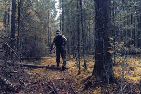 Купить диплом Егеря, лесника в Новокуйбышевске