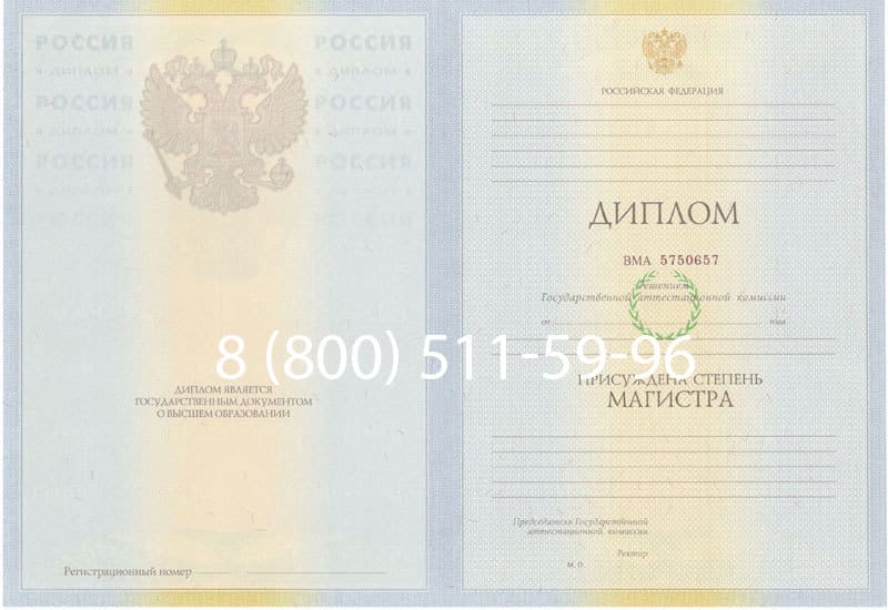 Купить Диплом магистра 2010-2011 годов в Новокуйбышевске Купить Диплом магистра 2010-2011 годов в Новокуйбышевске