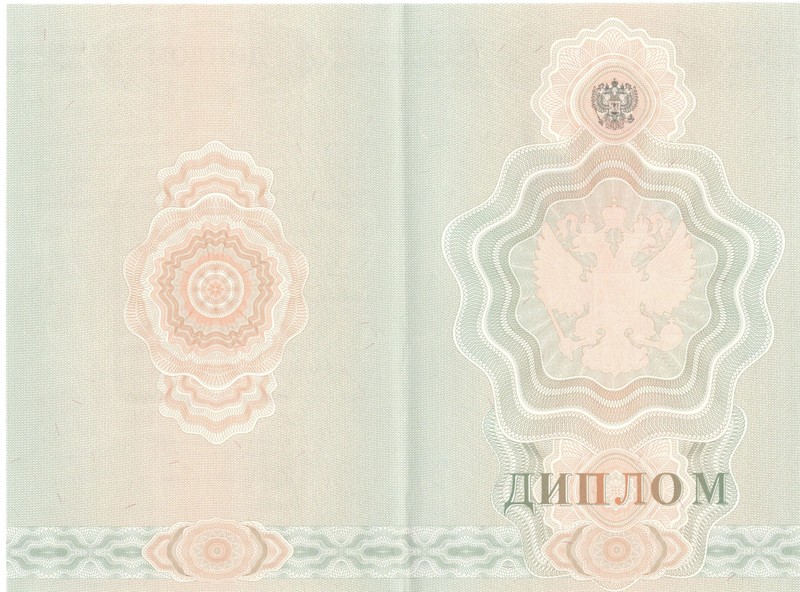 Купить Диплом о начальном образовании 2007-2009 годов в Новокуйбышевске Купить Диплом о начальном образовании 2007-2009 годов в Новокуйбышевске