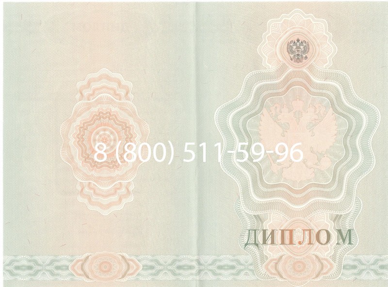 Купить Диплом училища 2007-2009 годов в Новокуйбышевске Купить Диплом училища 2007-2009 годов в Новокуйбышевске